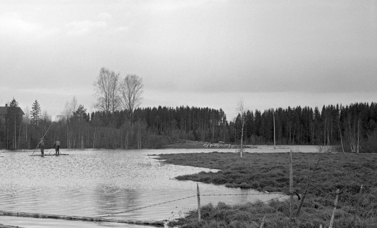 Fløting fra Sjølimyra ned mot dammen. Skog i bakgrunnen. Fløtere på flåte ute på vannet. Sjølitjennet, Sjøli, Nes, Akershus.