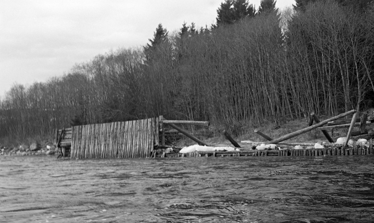 Skådam av tømmer ved Glomma. Brudd i dammen skyldes isgang. Kvislerholmen, Sør-Odal, Hedmark.