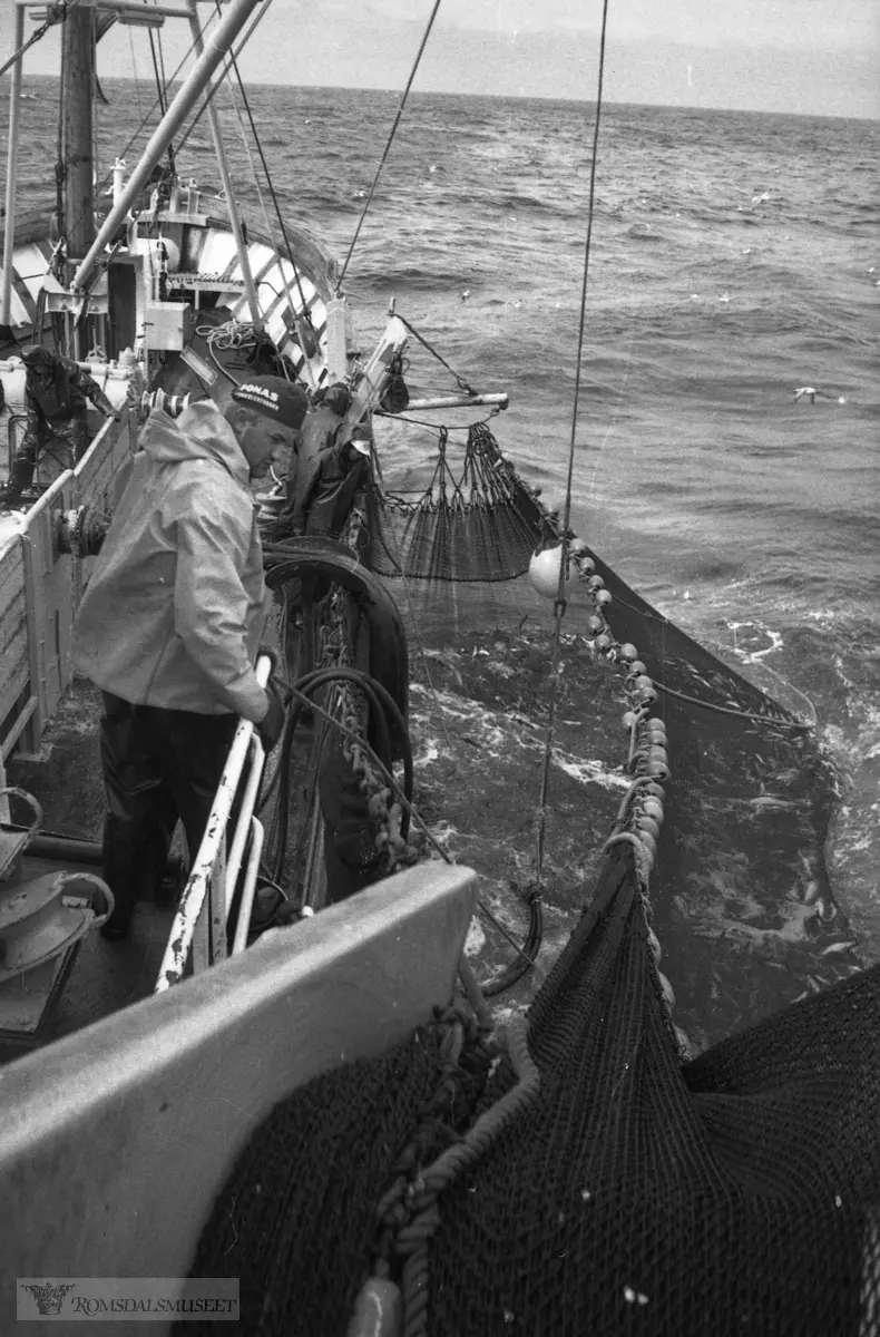"Åsmund sin film, juni-juli 1972" .Ringnotfiske i Nordsjøen med «Sandagut» av Midsund.