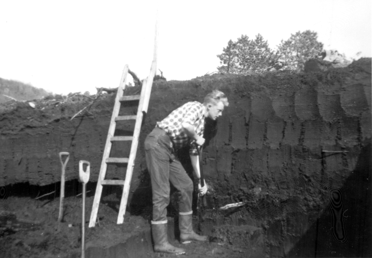Martin Arne Jensen i arbeid i torvdammen. Skjervika 1961