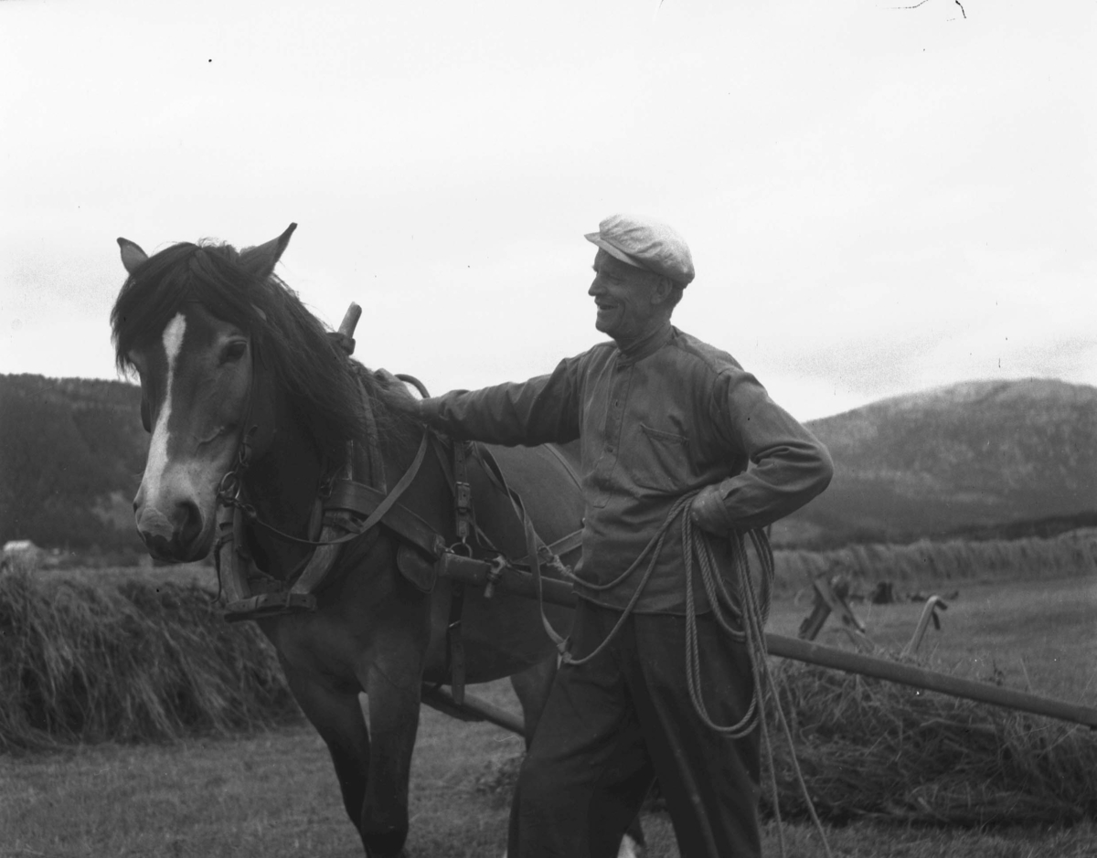 Alvdal, Portrett, Mann med hest