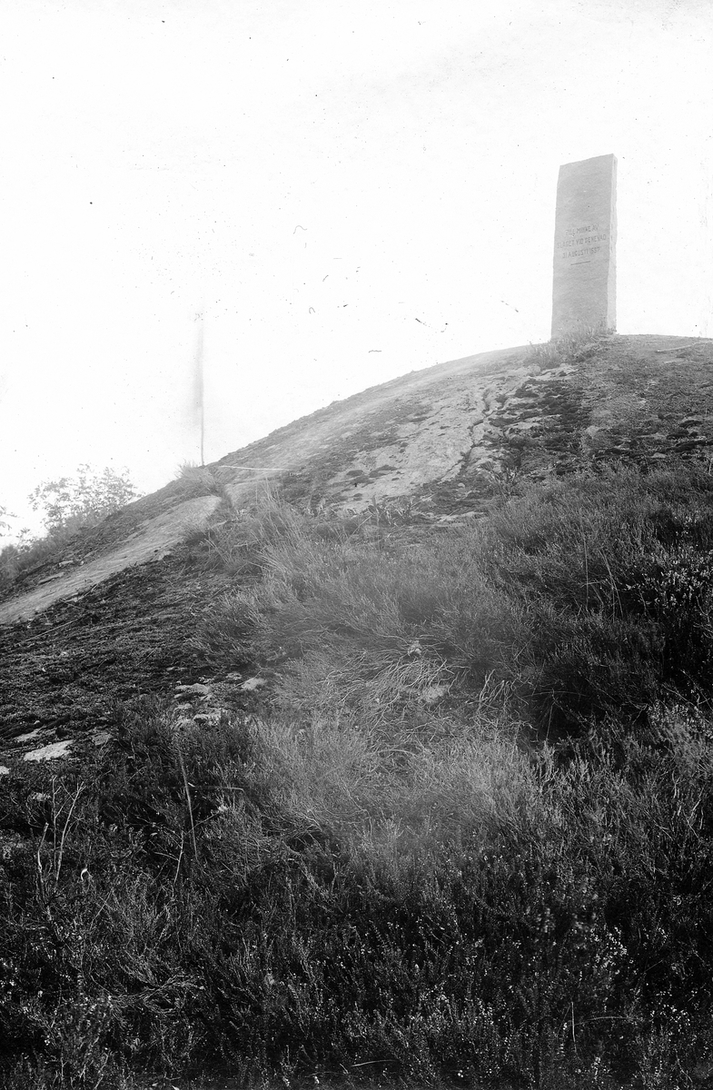 Tjärby sn, Genevad.
Minnessten i ett råhugget garantiblock över slaget vid Genevadsbro, bekostad av A W Wallberg, avtäckt i september år 1928.