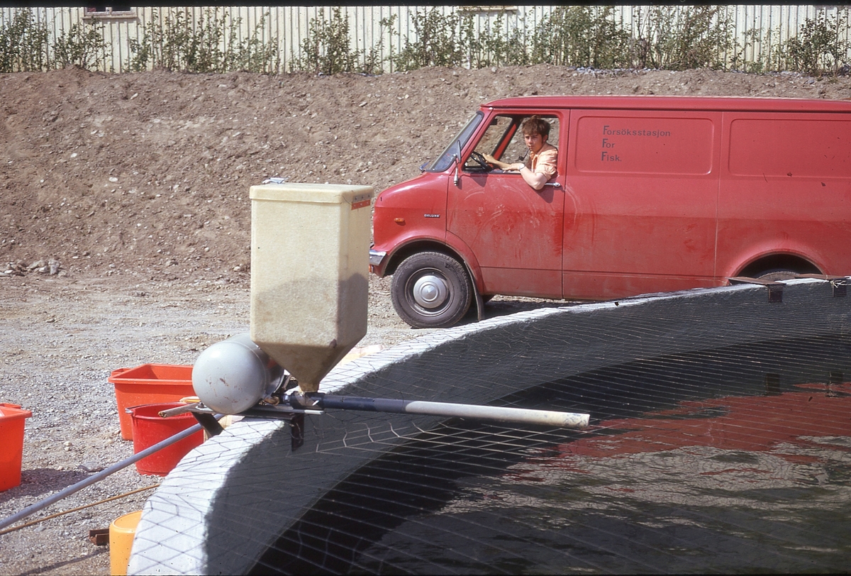 Dette er fra Akvaforsk sitt anlegg på Sunndalsøra. En bil står parkert bak et betongkar med fisk. Boksen som er montert på karet er en fôrautomat. I tanken er det trykkluft som skyter fôret ut i vannet.