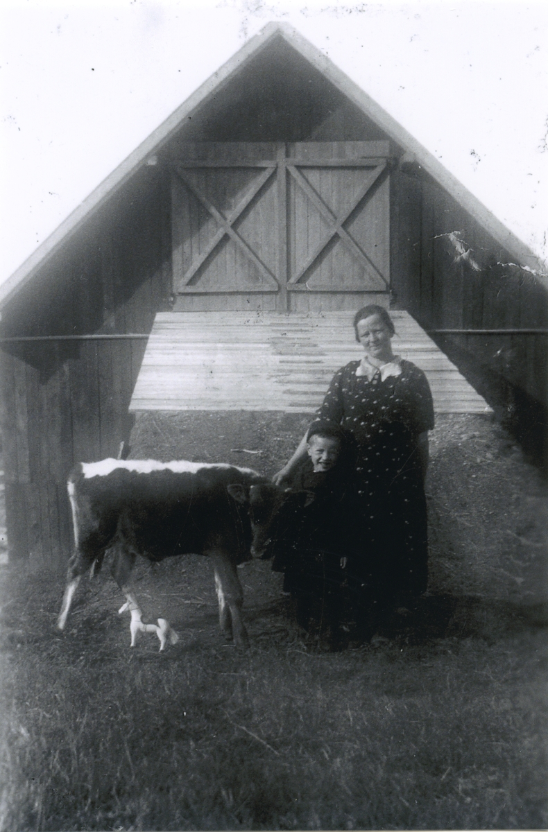 Kvinne og gutt med liten kalv