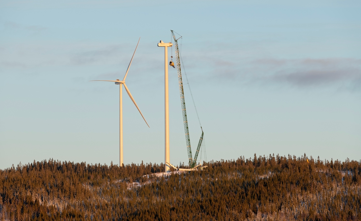 Bygging av vindkraftverk på Finnskogen, Hedmark. Kjølberget Vindkraftverk, Våler kommune, Innlandet. Kran heiser et rotorblad under montering av toppdelene på en vindturbin på åsryggen sør for Kjølberget. Bildet er tatt nær Bjørndamkoia.