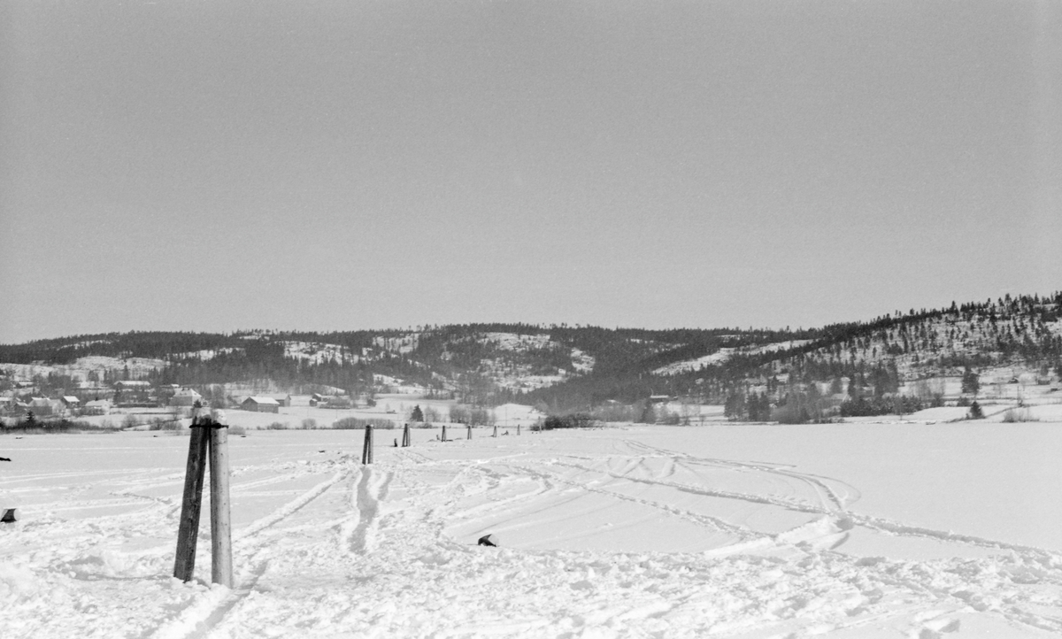 Pålerekke i innsjøen Nordre Råsen i Nord-Odal i Hedmark. Dette er et vinteropptak fra 1955. Det lå is på Råsen, som i lihet med landskapet omkring, var snødekt. Sommerstid tjente antakelig denne pålerekka som støttepunkt for ei lense - en flytende kjede av sammenlenkete tømmerstokker - som skulle hindre at løstømmer flølt ut over hele det store vannspeilet på Råsen. I bakgrunnen ser vi ei sone med gardsbruk nærmest sjøen og lave åser med glissen skog bakenfor.