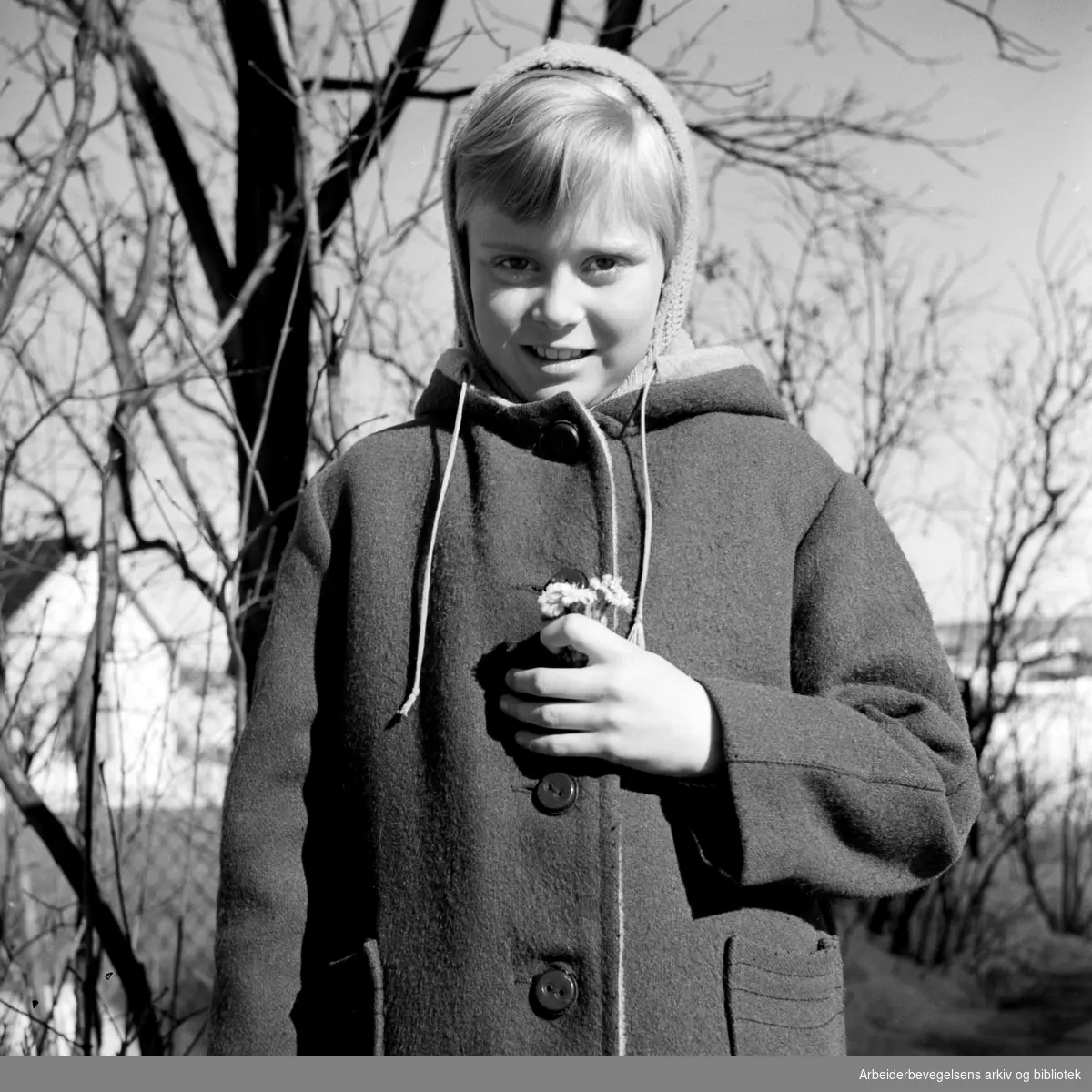 Reidun med årets første hestehov. Mars 1958.