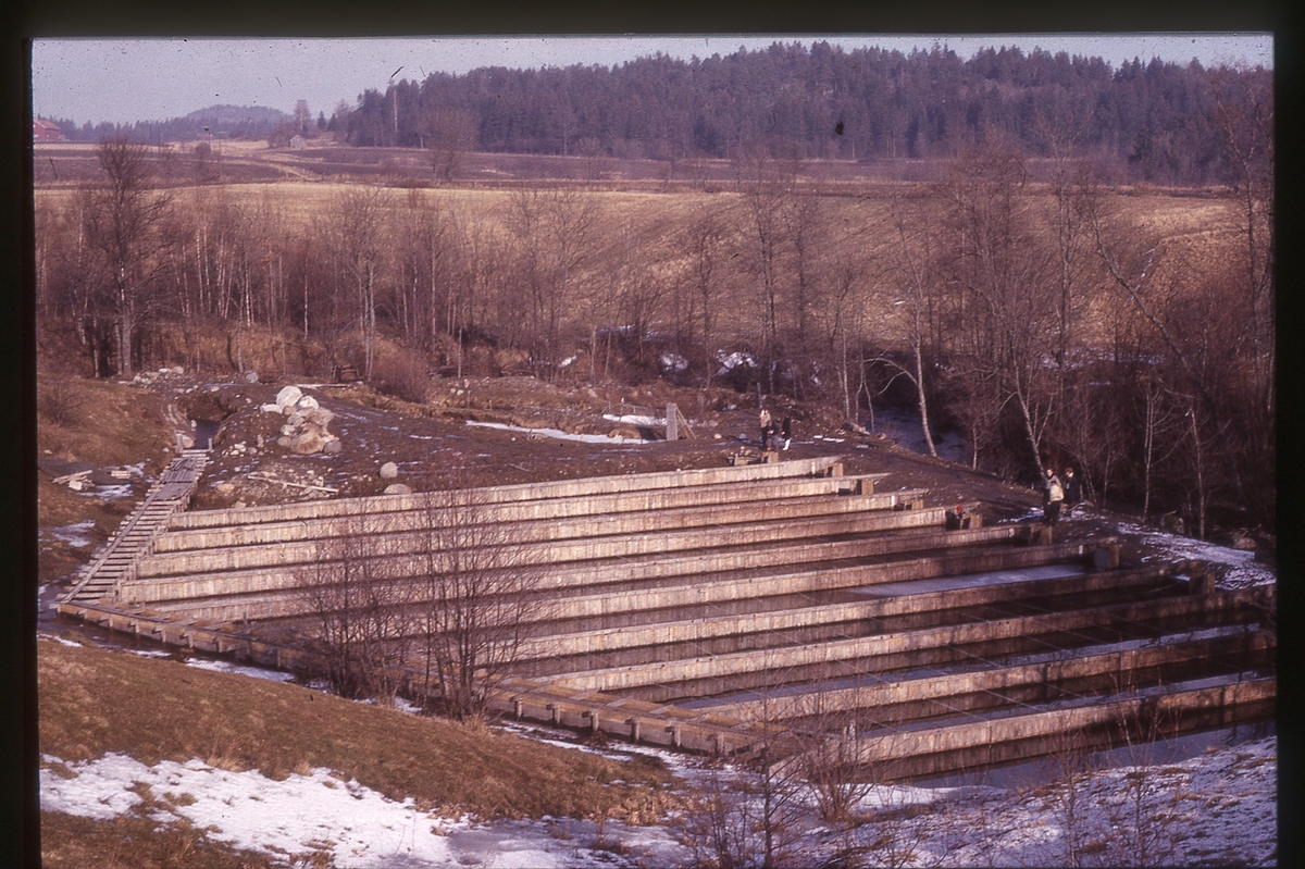 Brødrene Thoms ørretoppdrett i Brunlanes, Vestfold. Anlegget bestod av jordammer avdelt med vegger av eikeplank. Vannet rant fra Halleelven og gjennom anlegget.