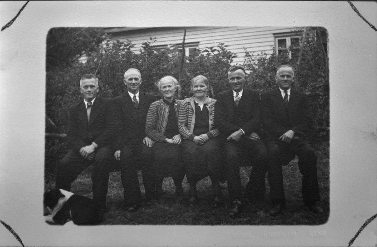 Frå Ole H. Hamre og Anna Bergette Hamre sitt diamantbryllaup på Hamre i Ølen, 1946. På biletet er borna deira. Frå venstre: Einar Hamre (Tysvær), Sigvald Hamre (Tysvær), Serina Hamre (Ølen), Eli Hamre (Fresvik), Gerhard Hamre (Ølen) og Ole O. Hamre (Ølen).