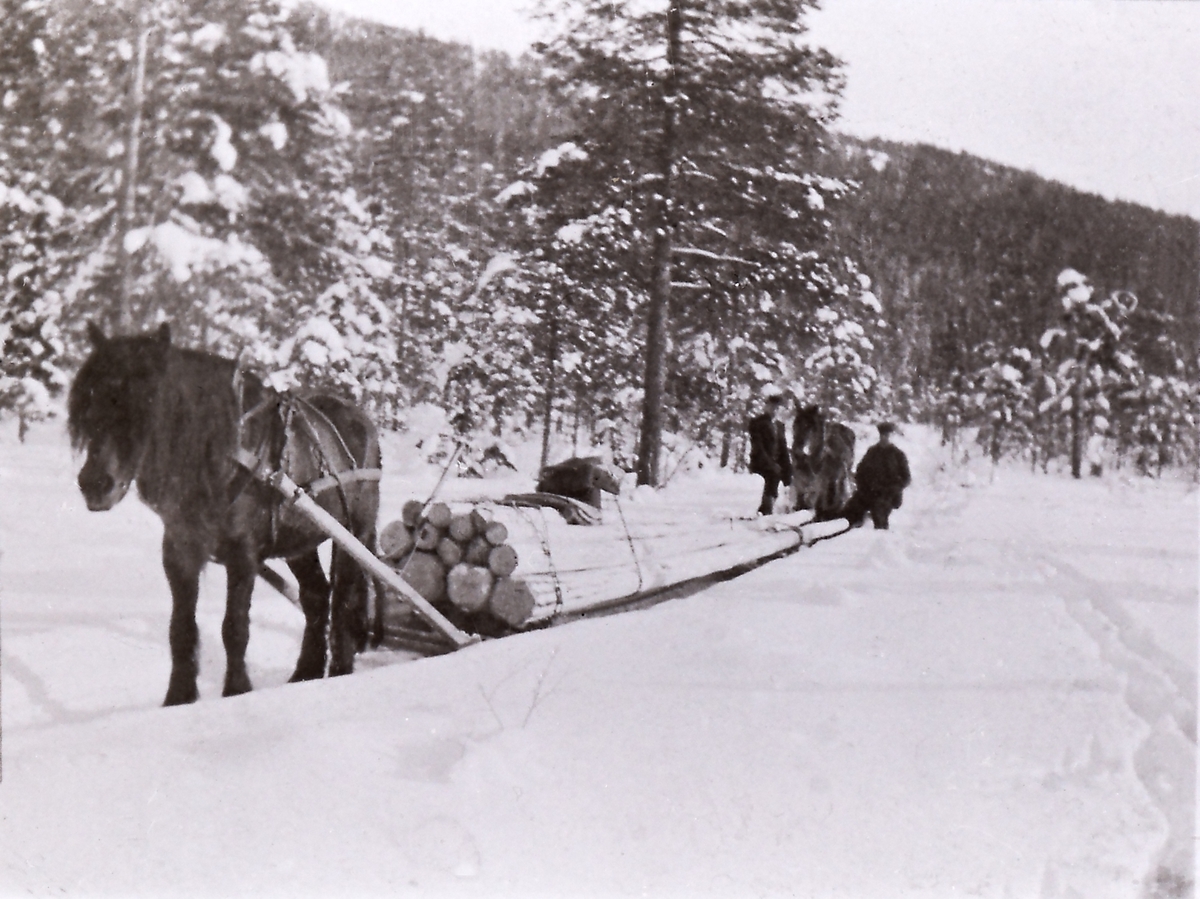 Tømmerkjøring på Stormyr Lisetra, Torleif Aaker f. 1911 og Engebret Lindem f. 1917.