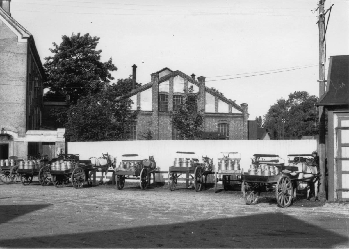 Hesteparkering i Lerviken etter melkekjøringen, Egersund 1945.