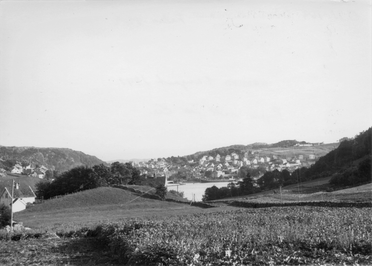 Egersund sett fra Eie, 1. august 1941.