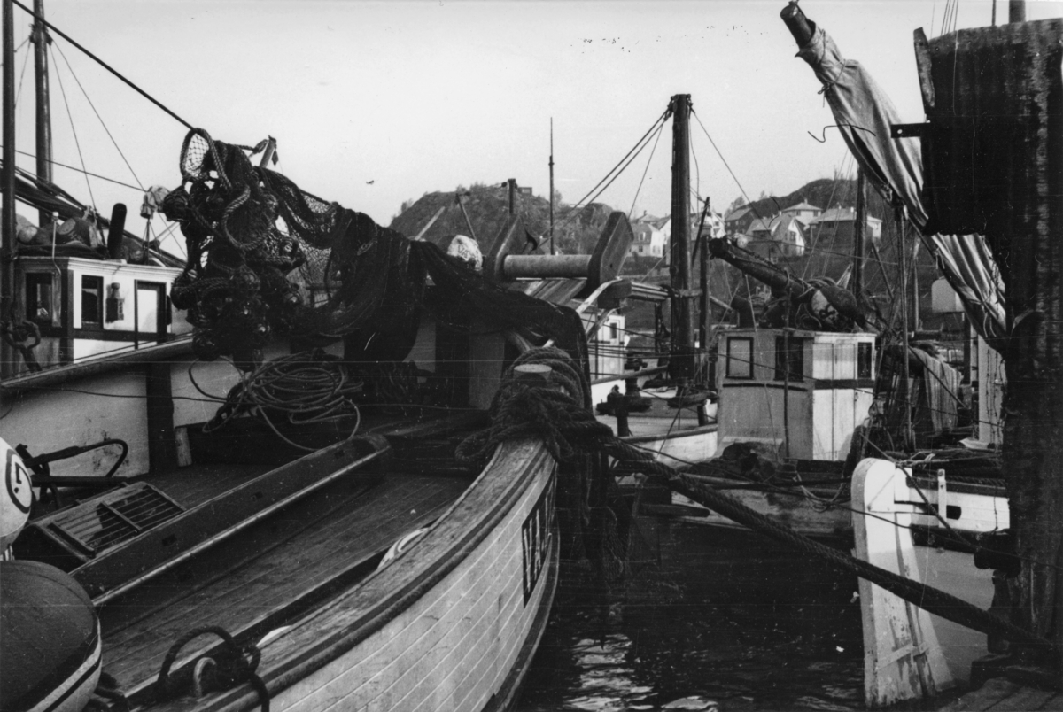 Fiskebåter ved Steinbryggen, 14. februar 1943.