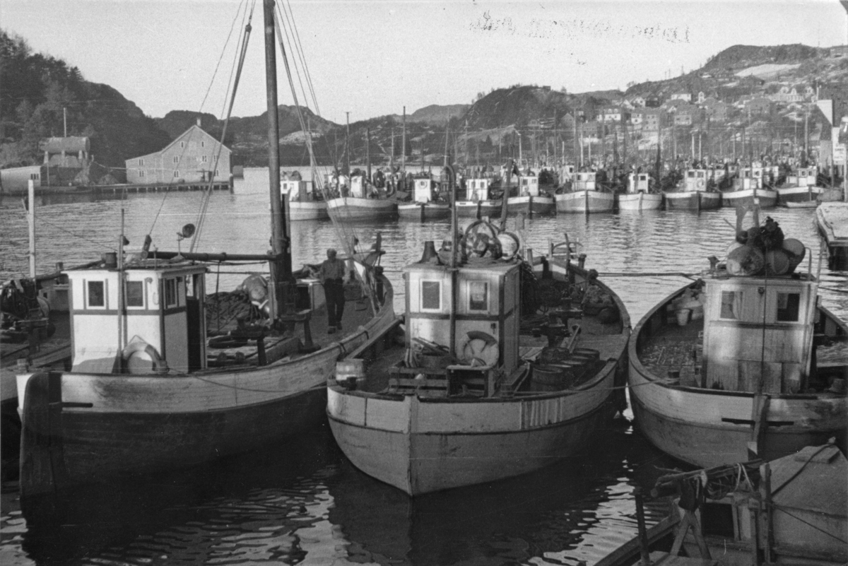Fiskeskøyter ved Indre havn, februar 1944.