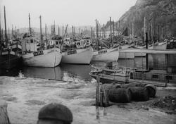 Fiskeskøyter ved Steinbrygga, 1942.
