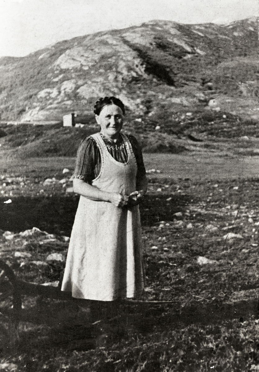 Anne Halvorsdotter Folkestad på Hollane 1937