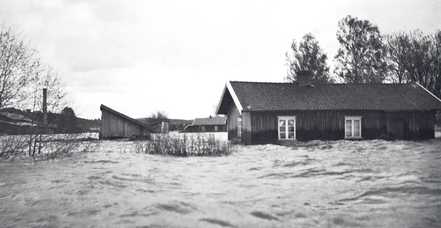 Foto: Anno Norsk Skogmuseum