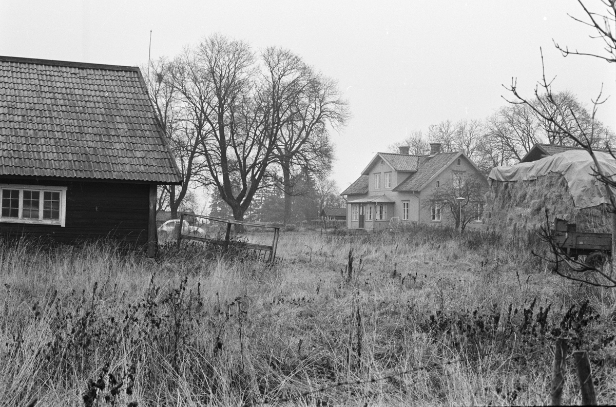 Svinhus och bostadshus, Plenninge 1:2 och 1:3, Vaksala socken, Uppland 1978
