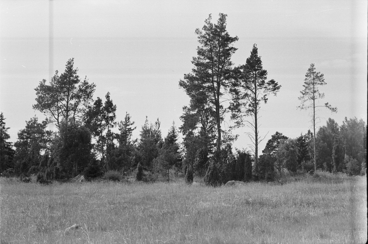 Fornlämningsområde strax norr om Kvarntorp, Vänge socken, Uppland 1975