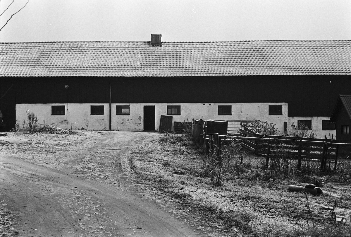 Ladugård, Näs-Edeby 1:1, Uppsala-Näs socken, Uppland 1984