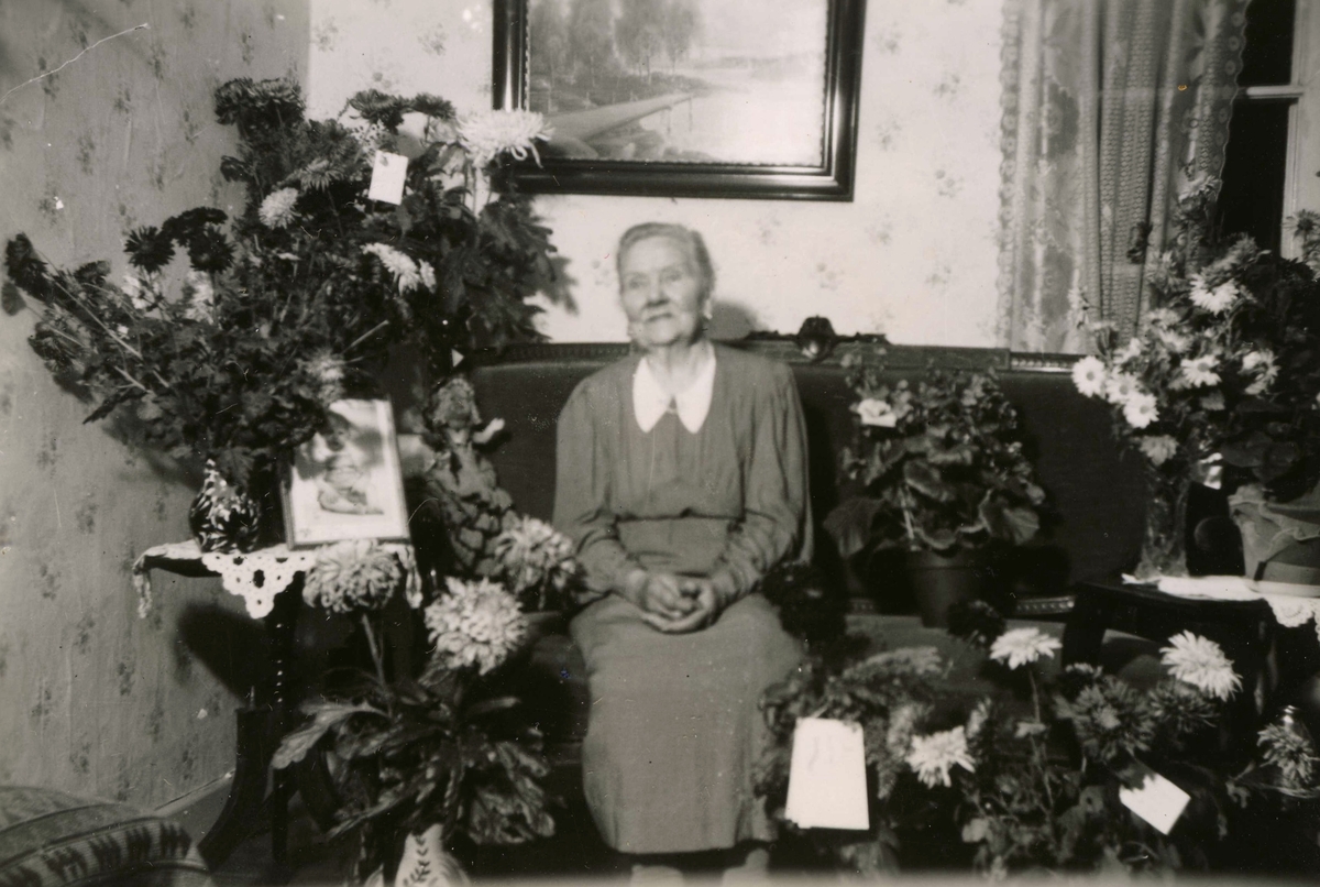 80-årsuppvaktning för Emma Sofia* Andersson (född Brännemaden, Fässberg 1861, död Heljered Sörgård 1942), Heljered Sörgård "Skräddarns" år 1941. Emma sitter uppklädd i finsoffan omgiven av blommor.