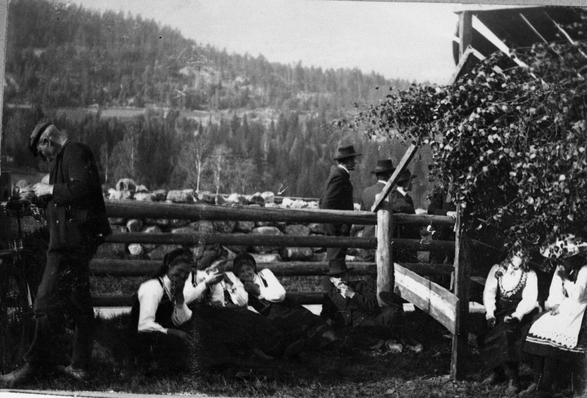 Fotosamling etter Øystein O. Kaasa. (1877-1923). Motiv med folk i folkedrakt ant. fra Seljord dyrskuen. Antatt avfotografering.