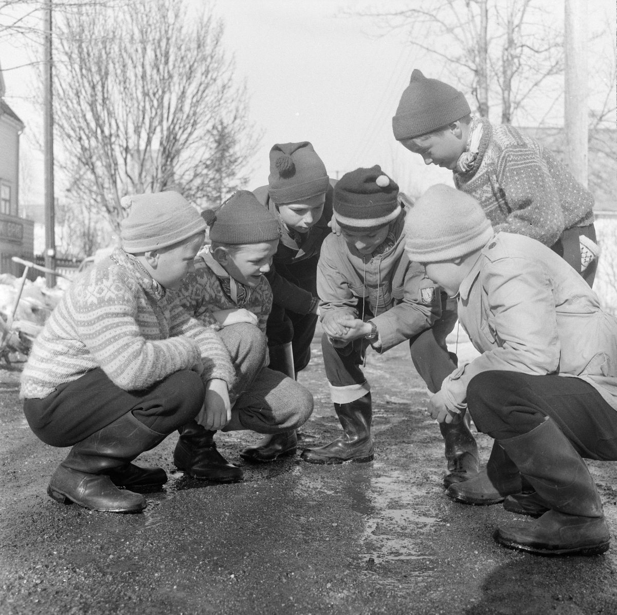 Jenter plukker hvitveis i Bymarka og gutter leker på veien