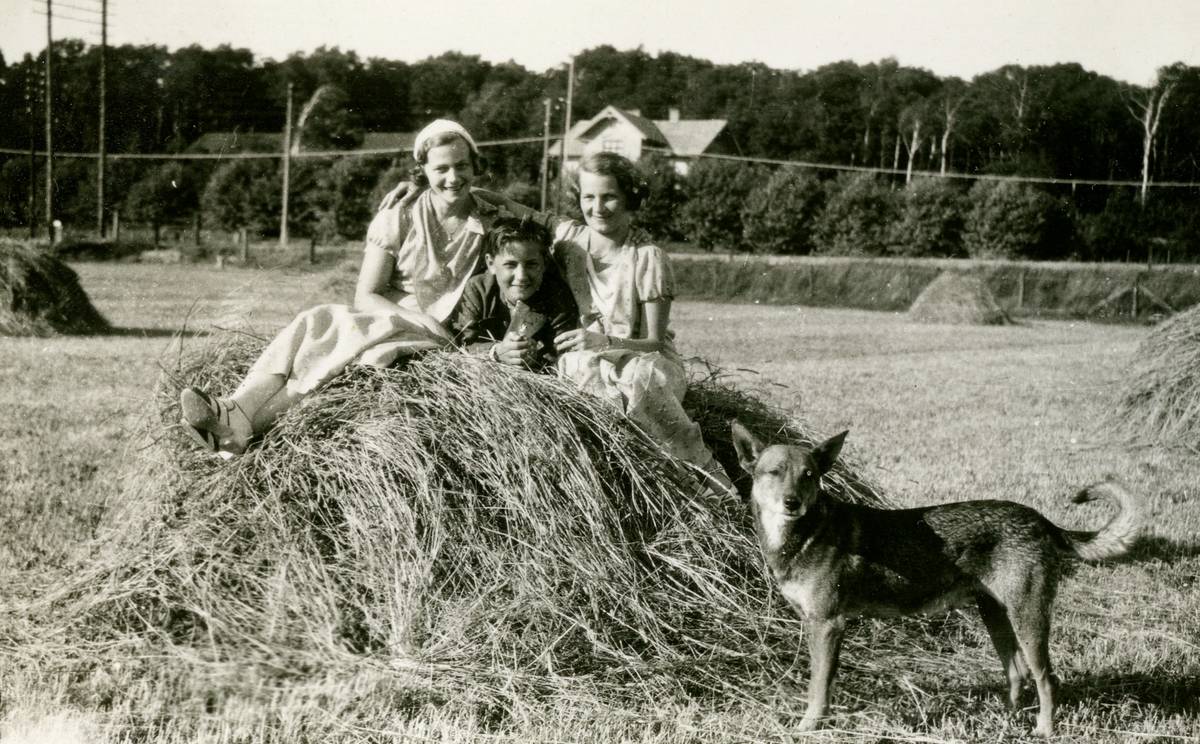 Tre ungdomar (namnuppgifter saknas) ligger på en höstack och snett framför dem står en hund, okänt årtal. I bakgrunden bakom järnvägen och Gamla Riksvägen ses Kållered Stom "Nygård" som revs 1970.