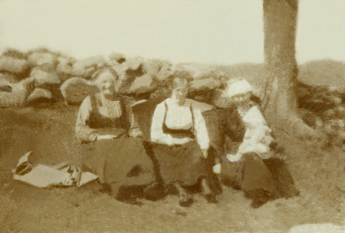 Tre kvinner, førenamn er Ingeborg, Gunhild og Sigrid