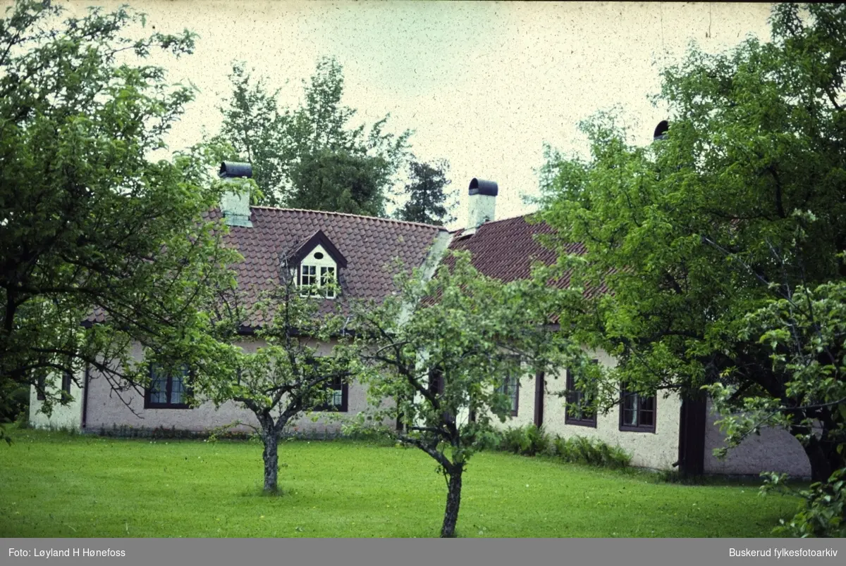 Riddergården i Hønefoss. Fra Hagen. 1971