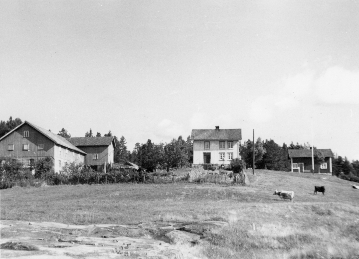 Garden Landsås i Tovdal. Åmli kommune
