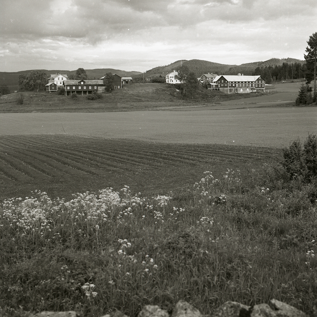 Jordbrukslandskap med bondgårdar i bakgrunden, Ljusdal 1982.