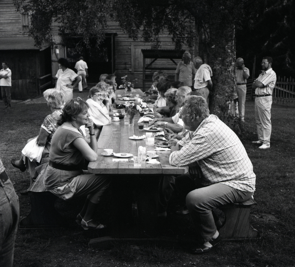 Besökare sitter vid ett långbord utomhus vid en stor björk och äter och fikar, 1991. Kanske är det på en Hembygdsgård.