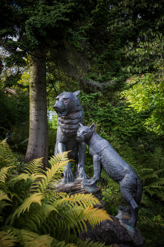 To ulveskulpturer i hagen på Asker museum.