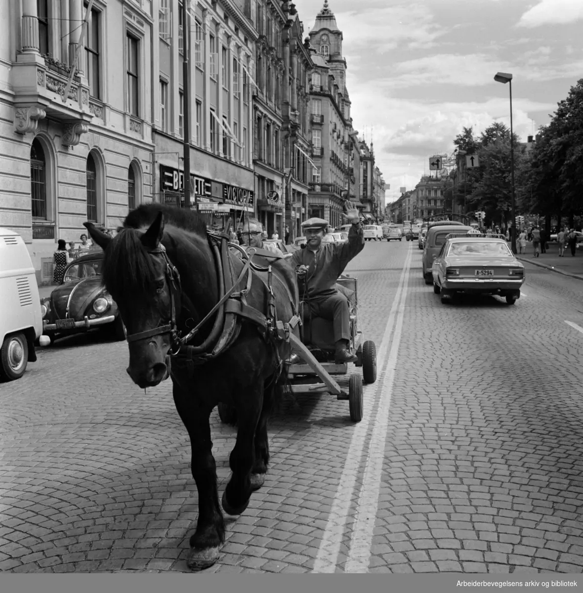 "På gampingtur i asfaltjungelen". Arbeiderbladets journalist Bjørn "Ausjen" Johannessen og gampen "Gubben" på tur i Oslo´s gater, juli 1968. Karl Johans gate.