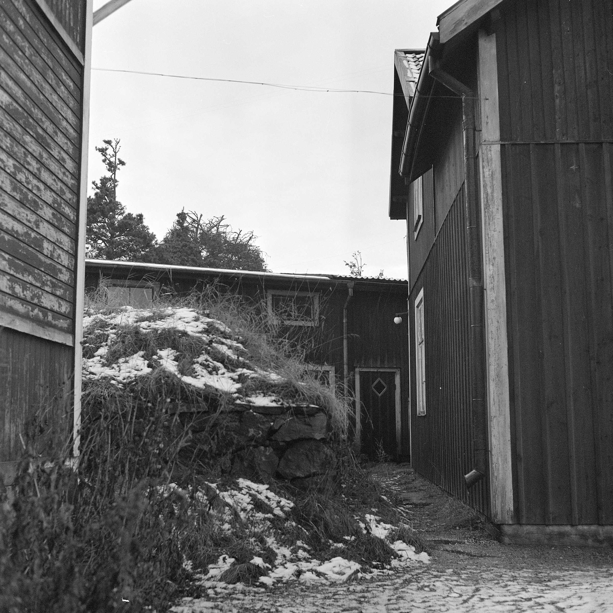 Vy mellan bostadshusen mot uthuslängan, med jordkällaren i mitten. Vy mot väster. Gårdens byggnader revs ca 1950 - 1953