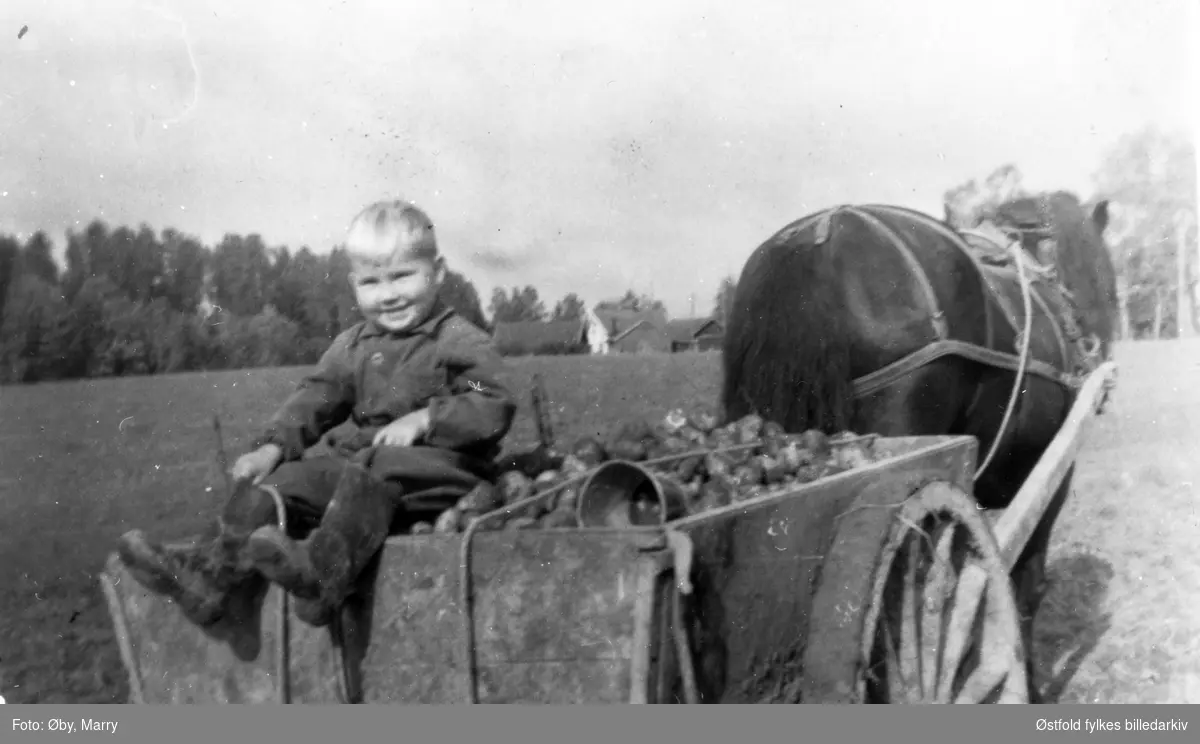 Liten gutt på potetlasset p Varteig prestegård i 1949, Karl Gunnar eller Kalle Øby. Hans far var vikarprest i Varteig. Hesten heter "Erlar" og tilhørte Varteig Hesteavlslag, 2. premie. Husene i bakgrunnen er Varteig meieri.