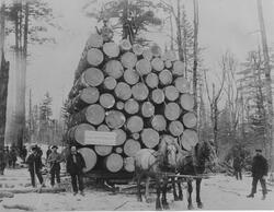 Tømmerkøyring i Amerika ca. 1915