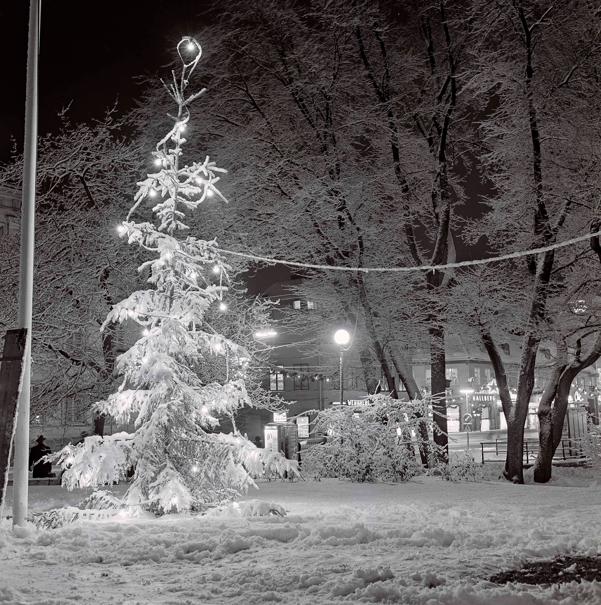 Stadsparken med julgran i kvällsljus Västerås Stadsarkiv / DigitaltMuseum