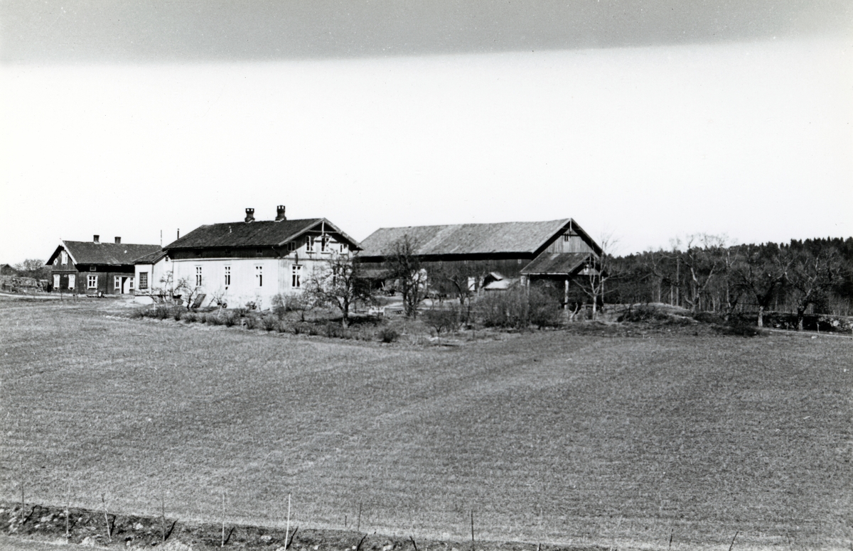 Søndre Ås gård, Holmlia, Oslo, Østre Aker. Husene fotografert fra et jorde.