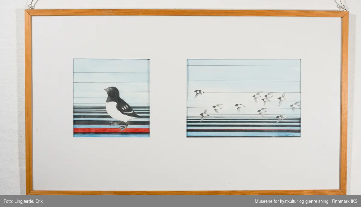 Bilde er todelt. På det venstre bilde står en svarthvit fugl alene i en landskap bestående av rette svarte linjer i forskjellige størrelser. På det høyre bilde er det flere svarthvite fugler. Alle fly. Også her er bakgrunnen skapt av rette horisontale svarte linjer. På begge bilder er en eller flere linjer rød.