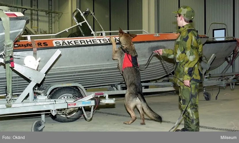 Hundutbildning.

Elev från hemvärn och hund söker vid båt.