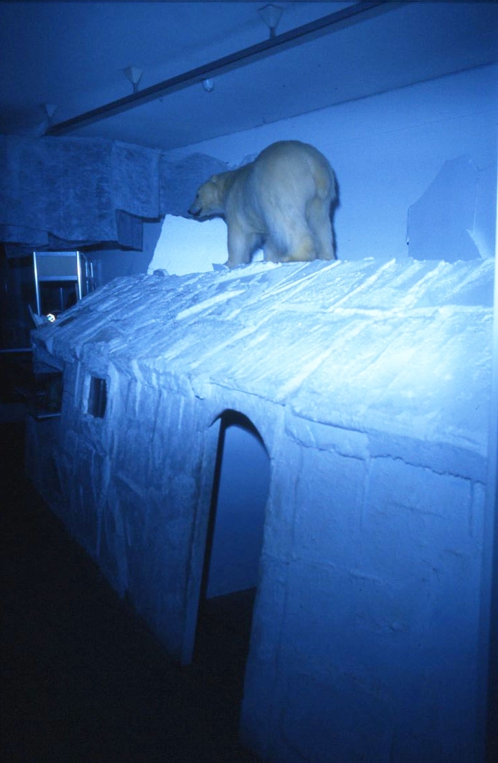Interiör från Andréeutställning. En isbjörn står på en replik av expeditionens igloo - "Hemmet".