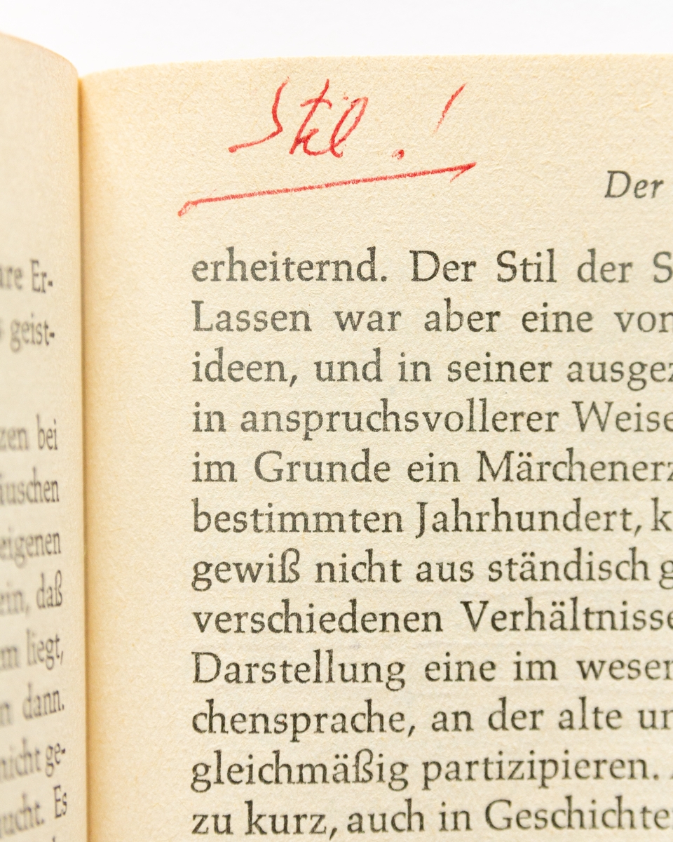 Thomas Mann: Leiden und Größe der Meister