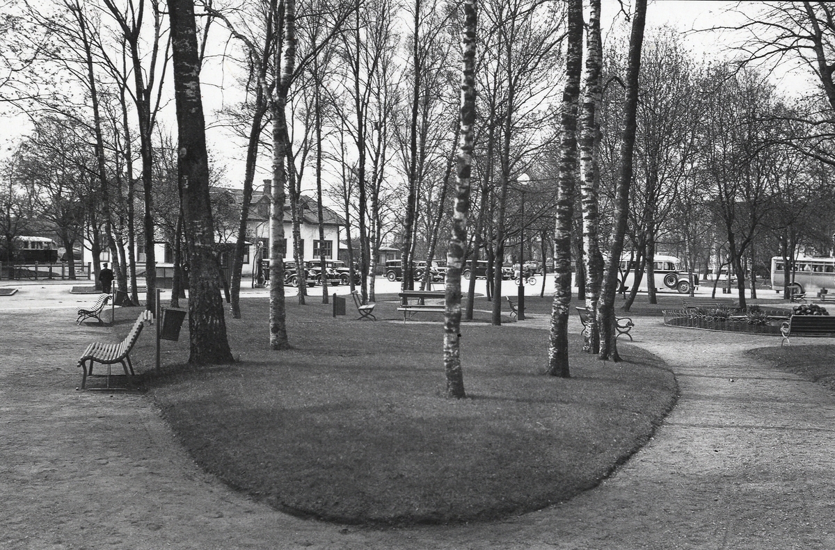 Järnvägsparken i Ljungby, 1938. Järnvägsstationen skymtar mellan träden.