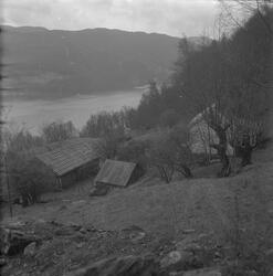 Rivåsen i Etne, 1978. Utsikt over Etnefjorden og Veste sett 