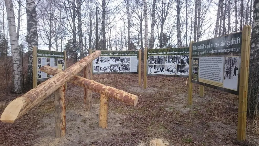 Foto av plansjer satt opp mellom trær. Utendørsutstilling om skogsdrift.