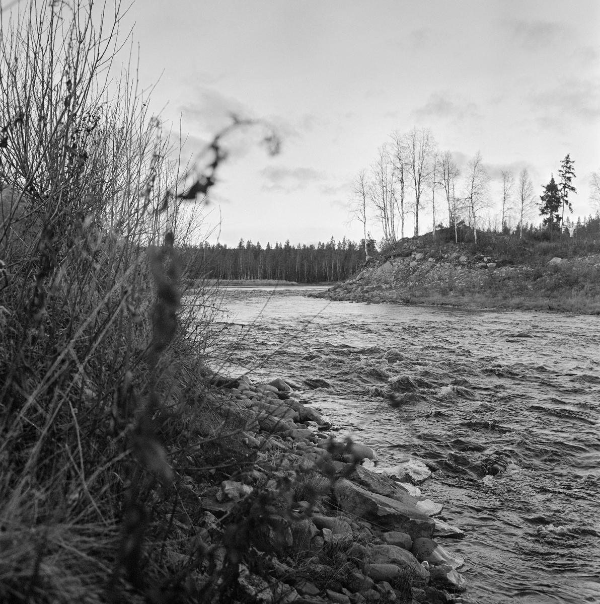 Landskap ved elva Foreninga i Trysil, fotografert høsten 1970. Stedet ligger nedenfor Østre og Vestre Grønas sammeløp (derav navnet Foreninga), men ovenfor det stedet hvor dette vassdraget løper sammen med Tannåa og danner Stor-Grøna. Vannet fra de nevnte elvene renner etter hvert renner ut i Trysilelva/Klara, som flyter videre inn i Sverige og munner ut ved Karlstad, der det lenge har vært mye skogindustri. Mye av råstoffet kom fra Trysil, og det vassdraget dette fotografiet er tatt ved var lenge ei viktig transportåre for tømmeret. For å gjøre fløtinga effektiv hadde fløterne behov for å bygge regulerbare vannreservoarer. Den første dammen i dette området skal ha vært bygd i 1885, i nærheten av det stedet der dette bildet er tatt. Dette skal ha skjedd etter langvarige diskusjoner mellom ledelsen i selskapet Mölnbacka Trysil, som var opptatt av å heve vannspeilet for å lette fløtinga, og lokale gardbrukere, som nødig ville at utslåttene deres skulle settes under vann i vårsesongen, noe som ville hemme grasveksten. Den gamle Kvannstranddammens betydning for reguleringa av fløtingsvannføringa avtok etter at Grønenes fellesfløtningsforening fikk bygd Kaldflodammen i Vestre Grøna og Stornesdammen i Østre Grøna. Koia damvokterne ved Kvannstranddammen hadde bodd i mistet dermed sine viktigste funksjoner, men den ble stående inntil Trygve Aasheim i 1970 foreslo å flytte den til Norsk Skogbruksmuseum i Elverum. Dette fotografiet ble tatt under den befaringa dette forslaget utløste. Koia ble demontert samme høst og gjenoppført på museet påfølgende vår og sommer (jfr. SJF-B.0026). På det stedet der dette fotografiet ble tatt ble det seinere, i 1978, bygd en ny fløtingsdam av betong, stål og tre (jfr. SJF-F.012418).