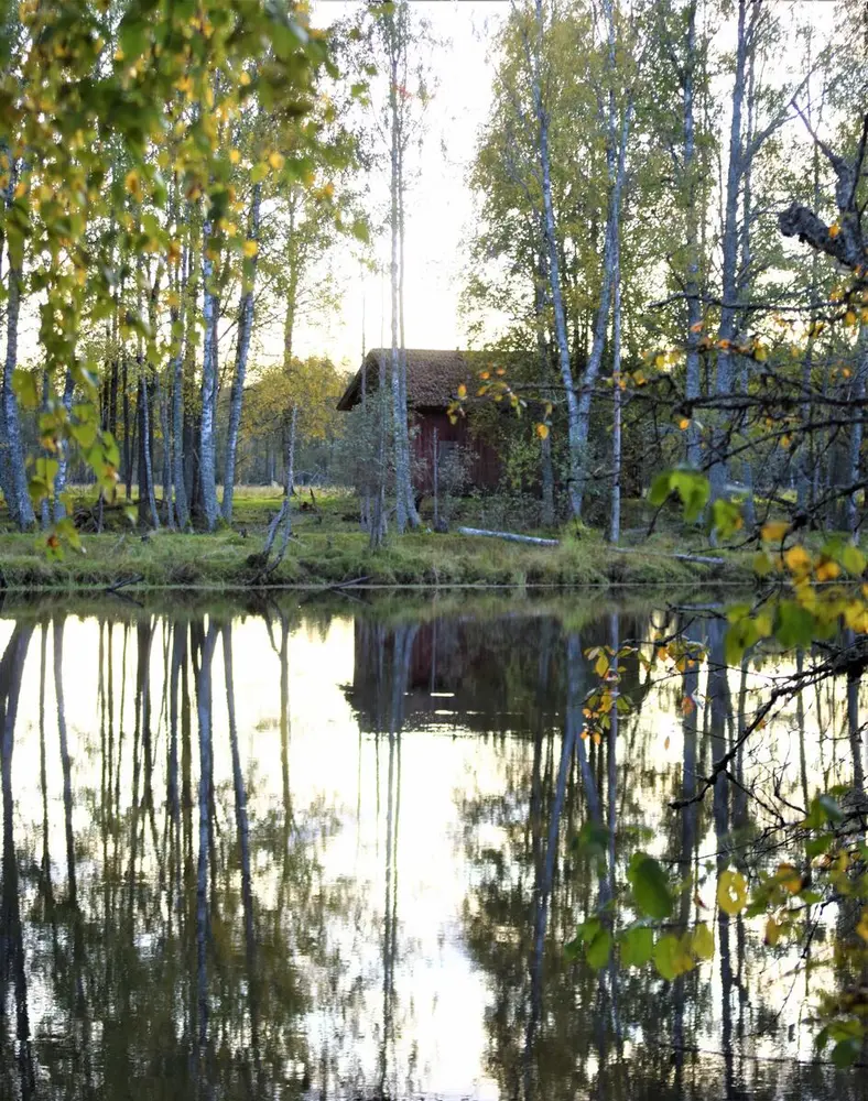 Foto av en gammel låve på en øy i Nordre Øyeren, låven står bak noen trær og ligger nær vannkanten