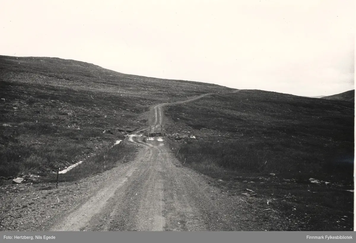 Rv. 50 Ifjordfjellet km 18. Grusveien går langs fjellelandskapet, 1946.